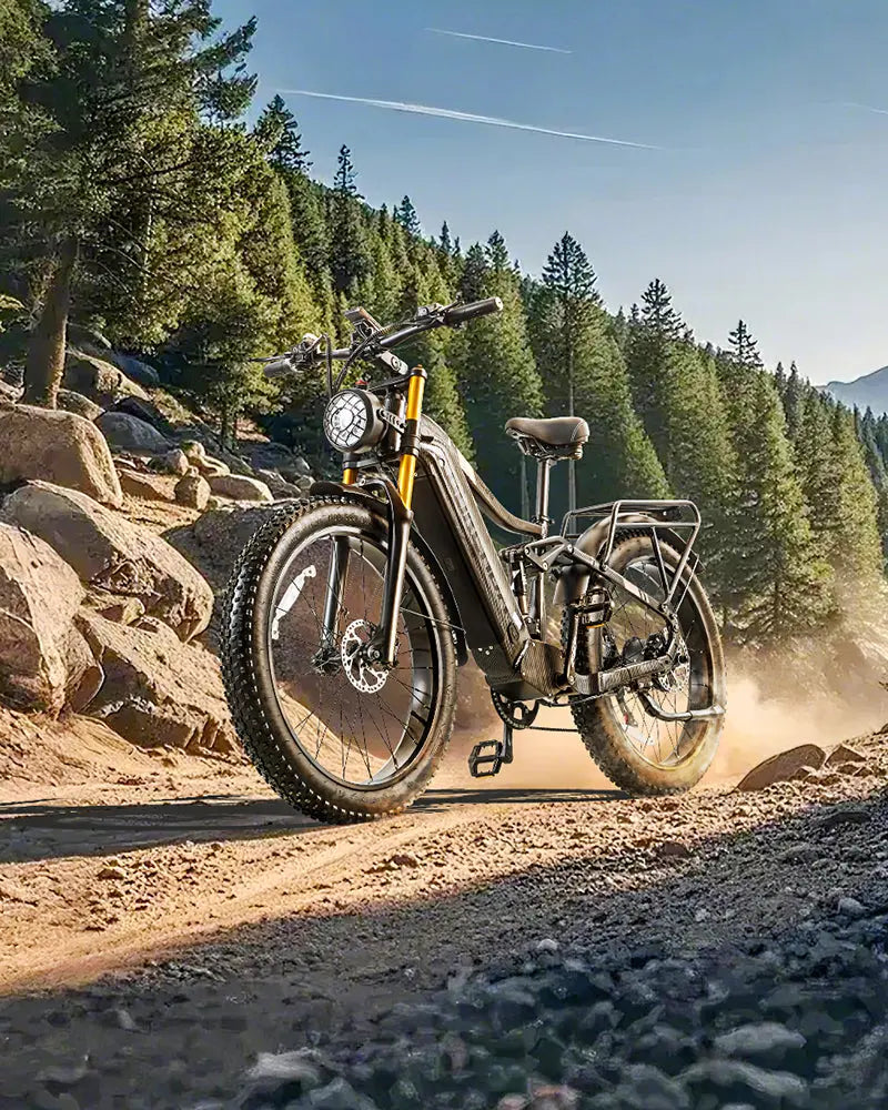 BURCHDA HC26 Fat Tire Dual Motor Electric bike