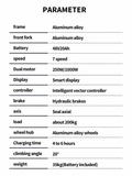 BURCHDA AZ20 Step-thru Electric Bike